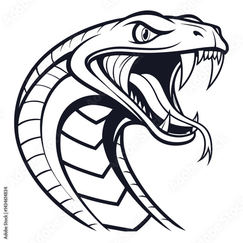 Aggressive Snake Head