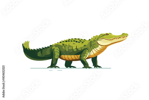 Crocodile danger eye tooth isolated