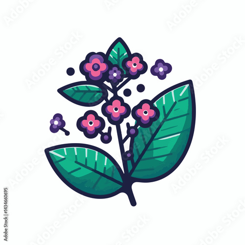 flower, floral, heliotrope, nature, natural, background, plant, garden, leaf, beauty, blooming, flora, botany, botanical, heliotropium, summer, petal, blossom, fresh, beautiful, drawing, green, illust