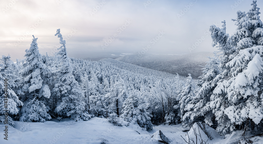 Fototapeta premium Panoramic, frozen and snow covered landscape in the morning from the summit of St-Joseph mountain on a cold winter day, Megantic national park, Qc, Canada