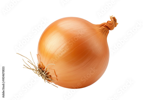 Wallpaper Mural Single brown onion isolated on transparent background Torontodigital.ca