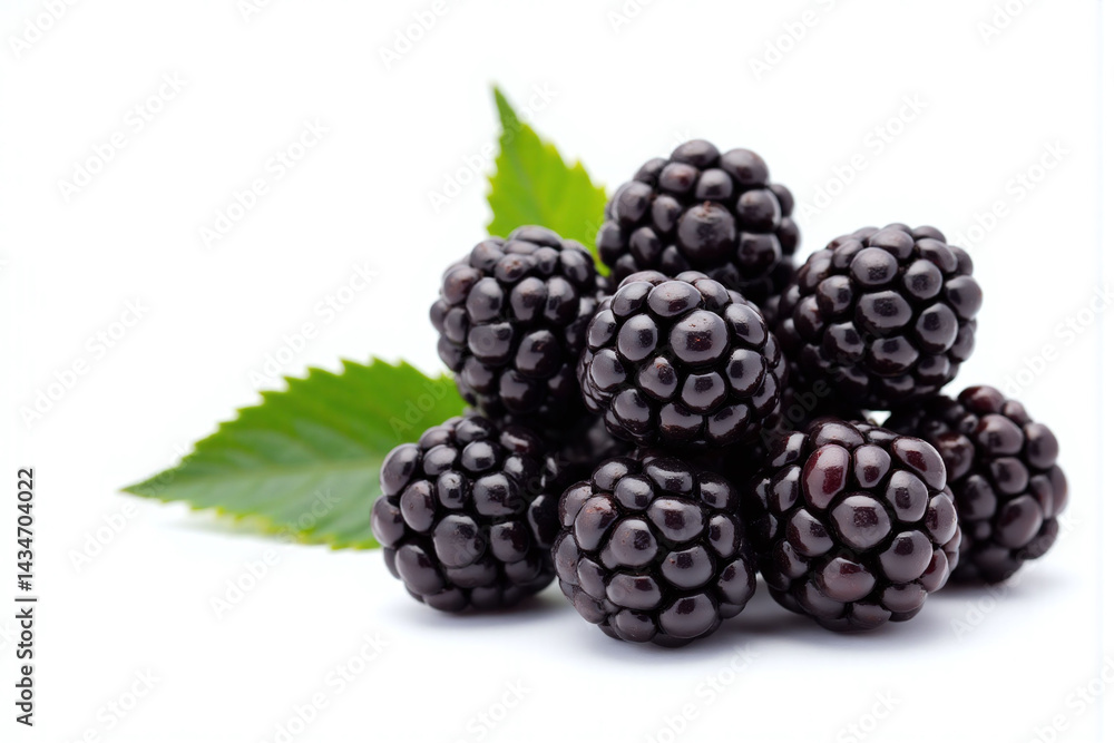 bunch of blackberries with leaves on a white background 2 bunch of blackberries with leaves on a white background 2