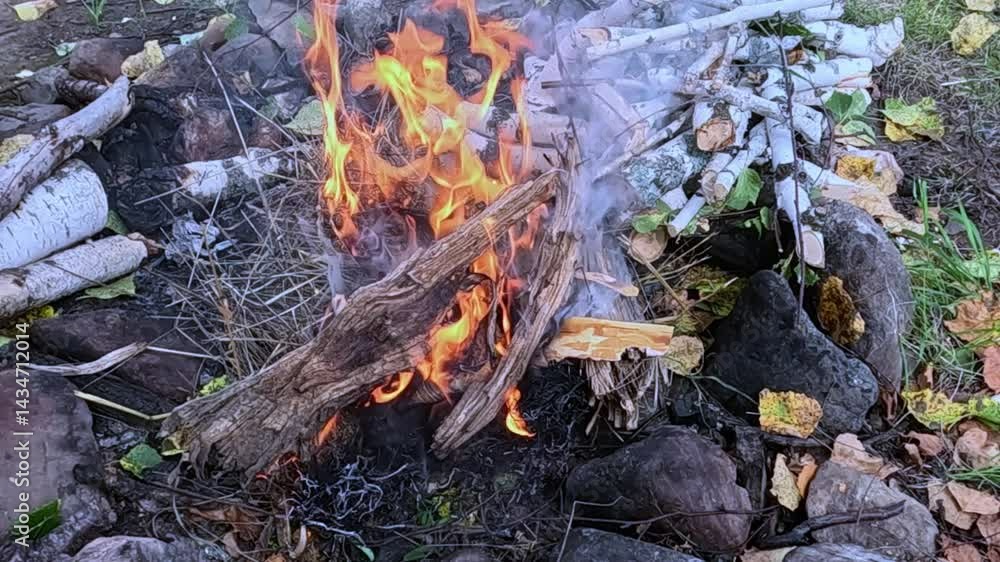Fire burning in the wild forest. Camping. Survival. Bushcraft Fire burning in the wild forest. Camping. Survival. Bushcraft