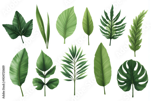 bunch of green leaves on a white background 21