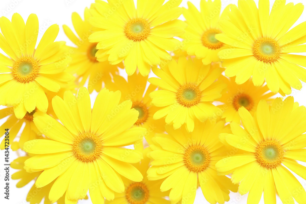 bunch of yellow flowers that are in a vase bunch of yellow flowers that are in a vase