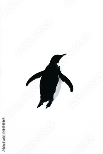 Penguin illustration black and white minimalist art print animal wildlife antarctic bird image stock photo