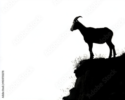 Explore mountain goat silhouette wildlife nature animal horns cliff edge outdoors adventure black