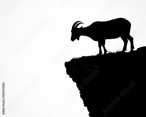 Silhouette of a mountain goat on a cliff edge: nature photography, animal wildlife, and outdoor adventure
