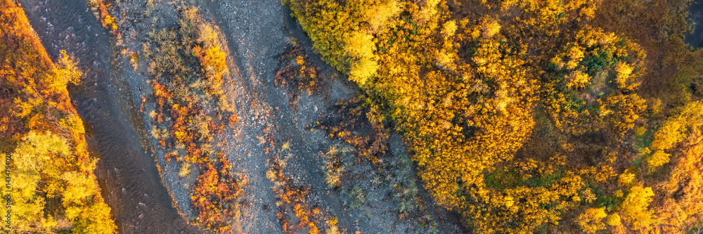 Top view of a small river and trees. Beautiful autumn panoramic aerial photo. Fall season. Natural background. Great for design.