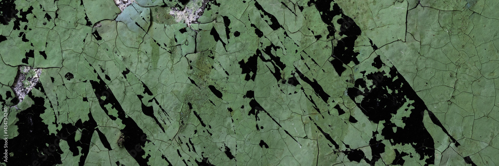 Peeling paint on the wall. Panorama of a concrete wall with old cracked flaking paint. Weathered rough painted surface with patterns of cracks and peeling. Grunge texture for wide panoramic background