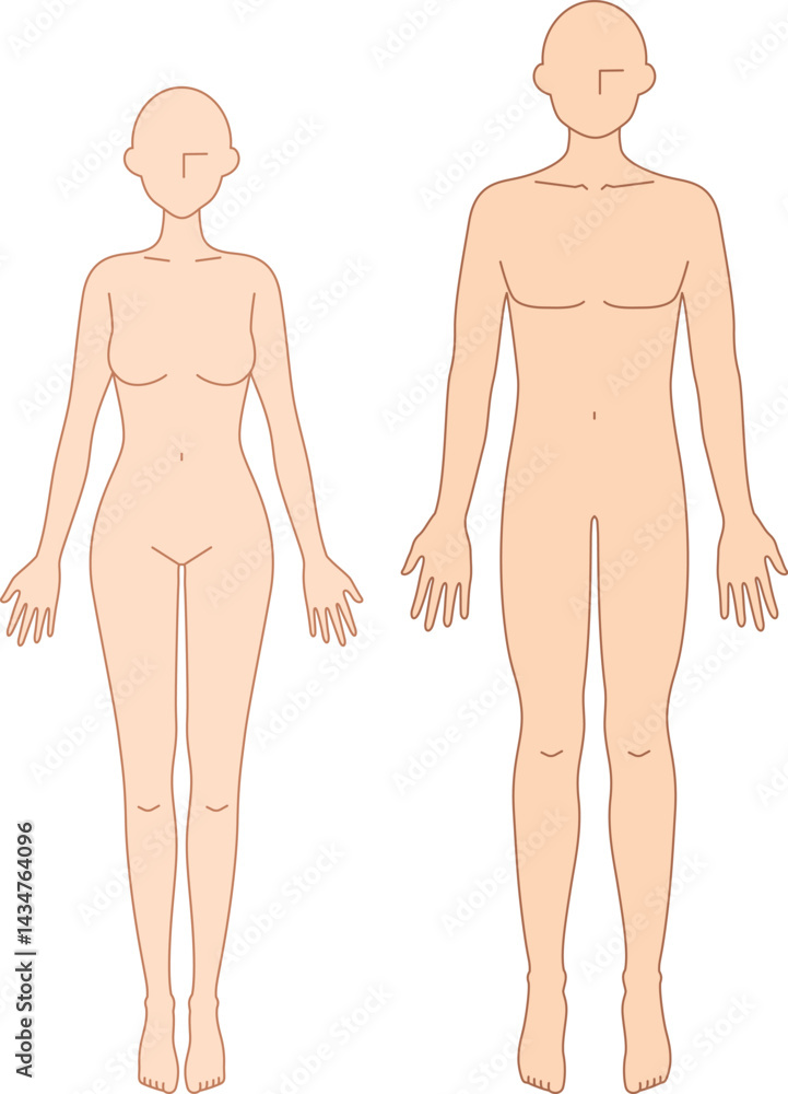 Fototapeta premium 前を向いた男女のシンプルなヌードイラスト