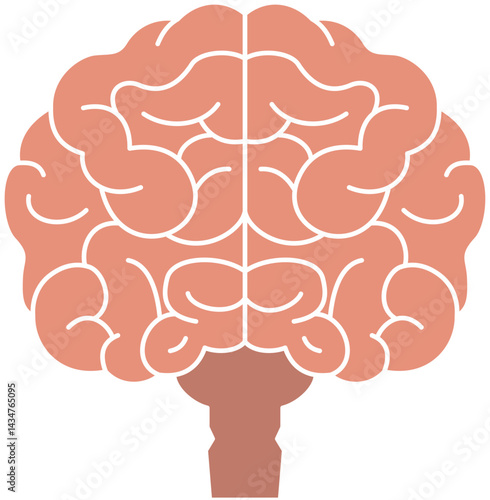 正面から見たシンプルな脳のイラスト