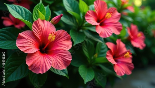 Bold tropical hibiscus blooms, lush green foliage, vibrant repeat, art, design, bright