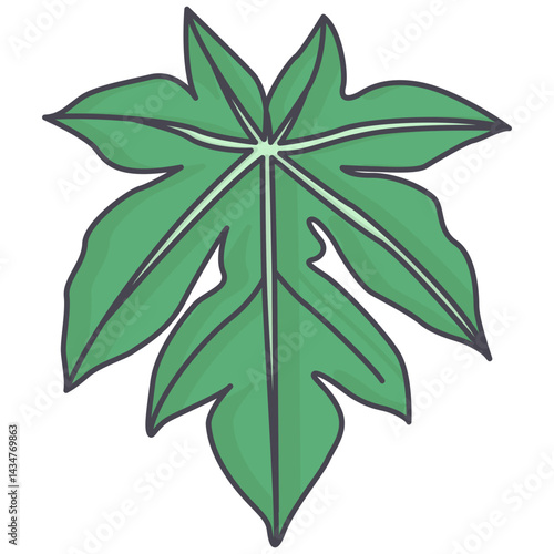 papaya leaves