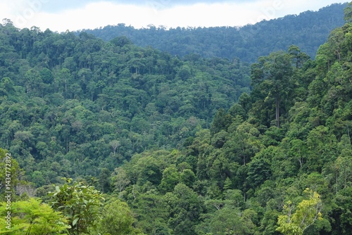 Deep of Meratus Mountain in Borneo Rainforest, Tanah Bumbu, Indonesia
