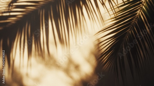 Wallpaper Mural A serene view of palm tree shadows on a sunlit tropical beach with fine sand, the soft contrast between light and dark creating a relaxing Torontodigital.ca