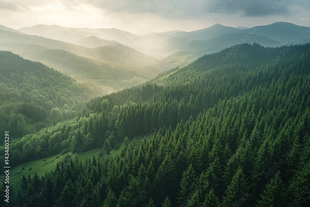 Fototapeta premium Verdant mountain ranges bathed in golden sunlight.