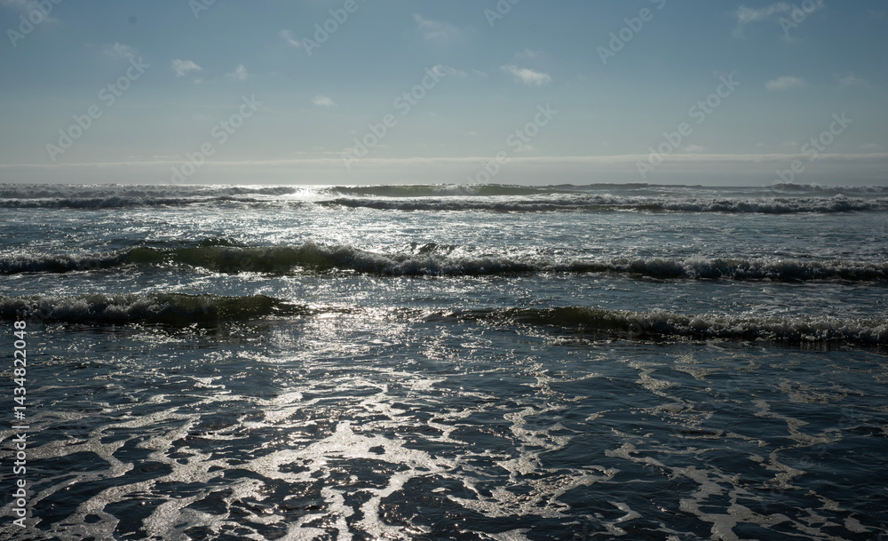 Fototapeta premium Cape Disappointment State Park