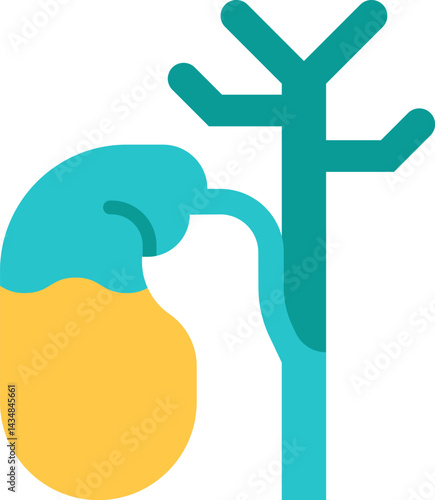 gallbladder illustration on a white background     