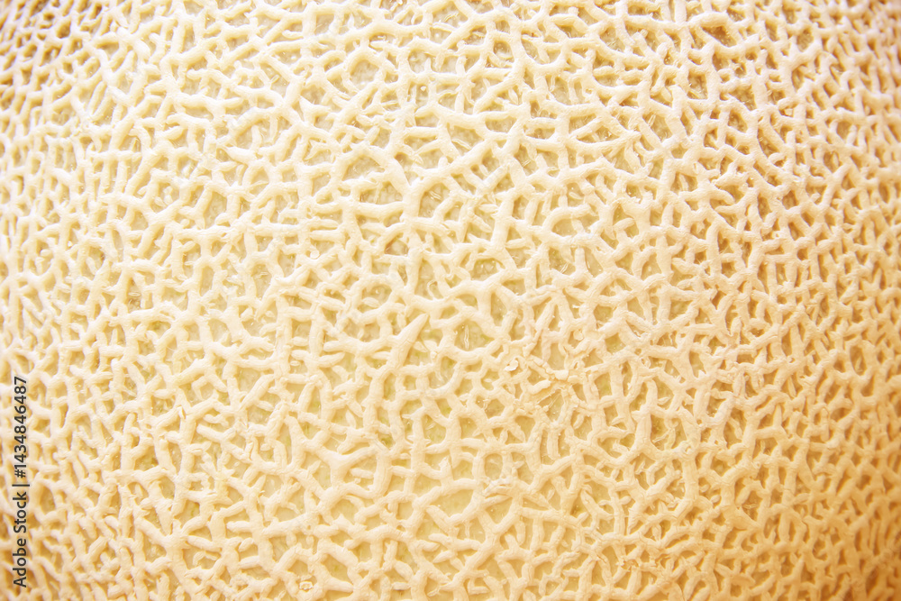 Melon skin texture natural light brown natural background Melon skin texture natural light brown natural background