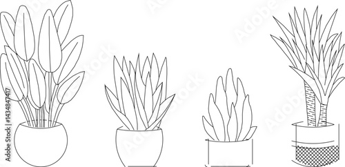 vector silhouette design illustration sketch of potted ornamental plants for living room interior decoration