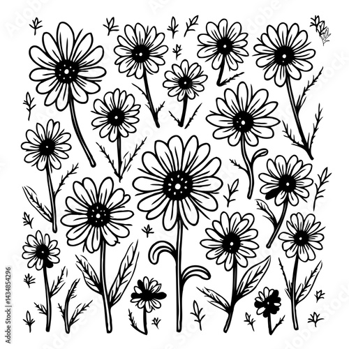 Doodle floral pattern with various stylized daisies on a white background