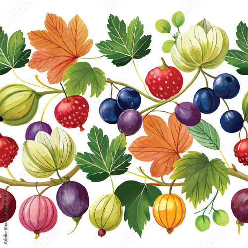 collection of berries