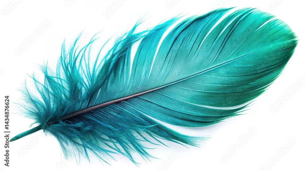Obraz premium Beautiful closeup of a bright shiny turquoise feather isolated on white background, showcasing its vibrant color and intricate details