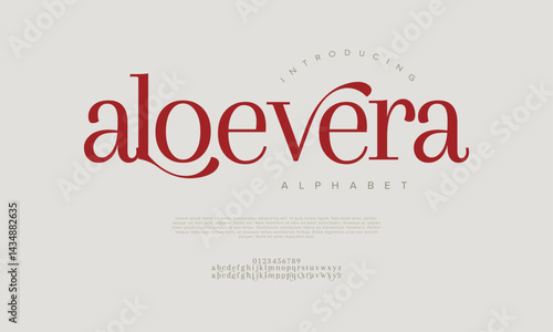 Elegant Feminine Font for Branding Wedding Logo Packaging Display and Modern Editorial Design