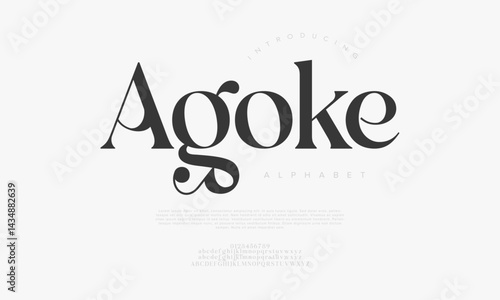Elegant Serif Display Font for Branding Wedding Invitation Logo Design
