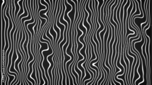 white and black zebra stripes pattern abstract background. Vector illustration