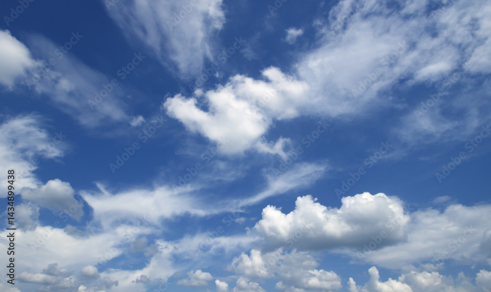 Fototapeta premium Summer blue sky cloud gradient light