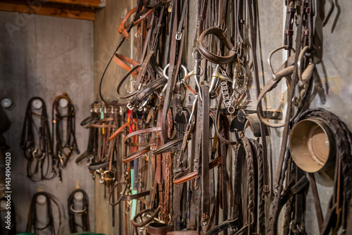 Equestrian and horseback riding tack room with saddles and bridle harnesses