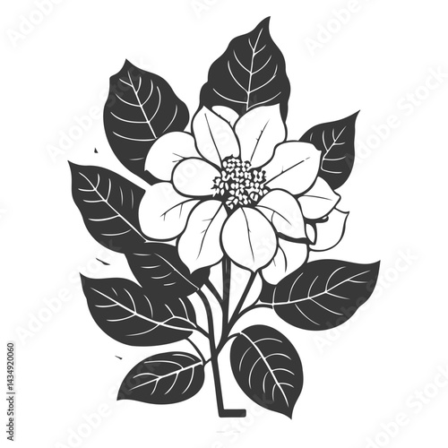 Elegant floral illustration with striking monochrome contrast and botanical detail