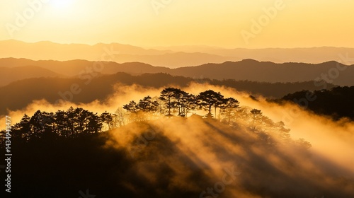 Obraz na płótnie Sunlit mountaintop shrouded in mist at sunrise w salonie