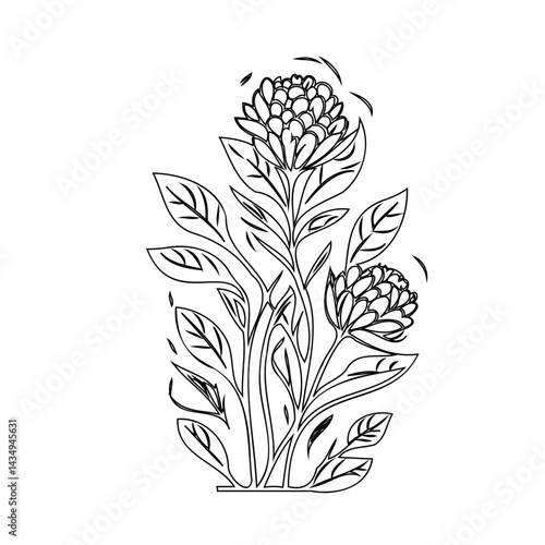 Elegant botanical sketch of a blossoming flower with delicately detailed leaves