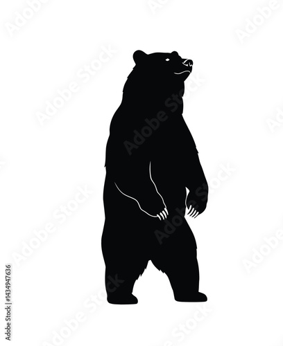 Bear standing up silhouette. This image shows a black silhouette of a bear standing upright with detailed fur and claws, symbolizing wildlife and strength. Vector clipart illustration design.