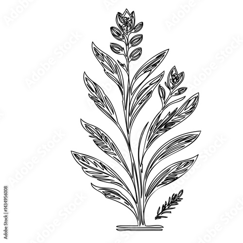 Delicate botanical sketch of a flowering plant with intricate line work