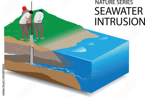 illustration vector  of sea water intrusion