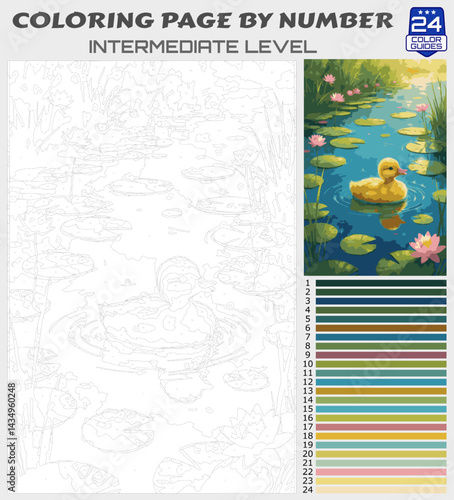 Charming Duckling Swimming Among Lily Pads - Intermediate Level Paint by Numbers Coloring Page for Relaxation and Creativity