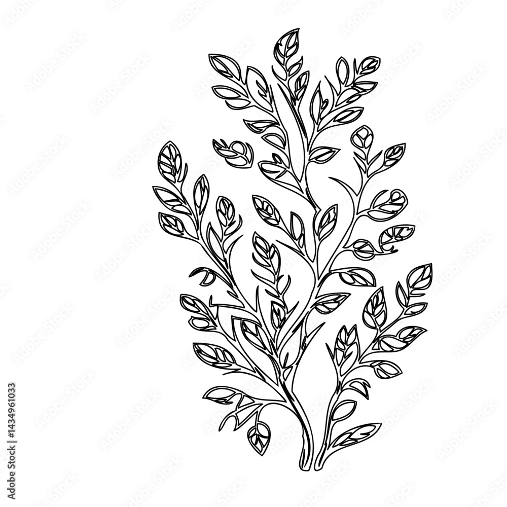 Elegant botanical illustration featuring a delicate branch with stylized leaves Elegant botanical illustration featuring a delicate branch with stylized leaves