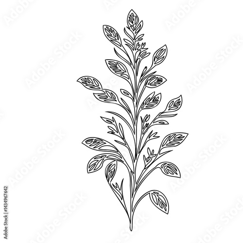 Elegant botanical illustration showcasing intricate line work and minimalist artistry