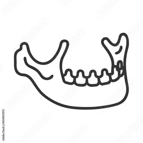 Gray mandibular bone line art on plain black background