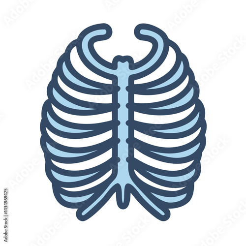 Rib cage illustration on black background, medical anatomy concept