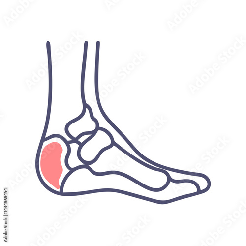 Simple Flat Design Foot Anatomy on Black Background