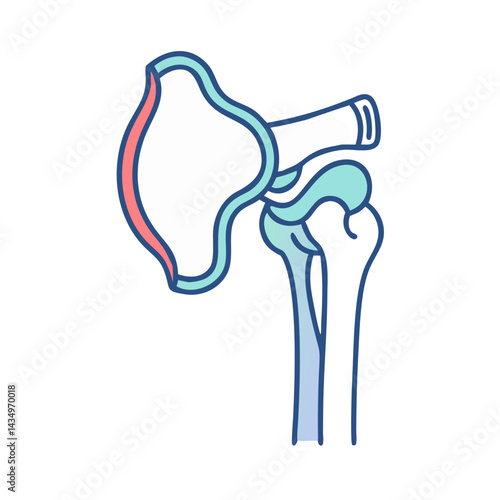 Stylized scapula and humerus bone illustration on black backdrop