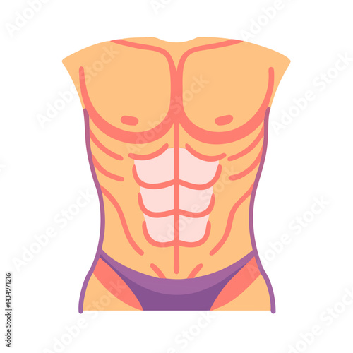 Illustration of a toned torso with six-pack abs