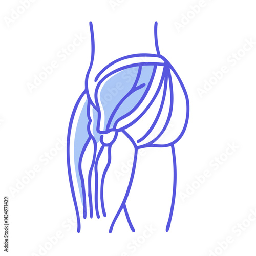 Abstract outline art illustration of leg and torso anatomy