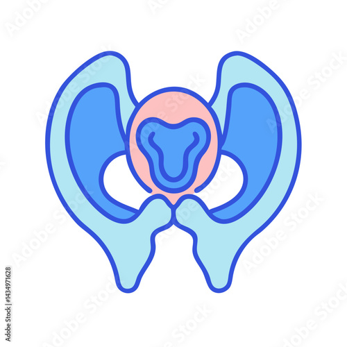 Graphical pelvic bone illustration featuring blue and pink hues