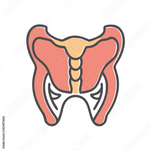 Female reproductive system illustration on black background in outline